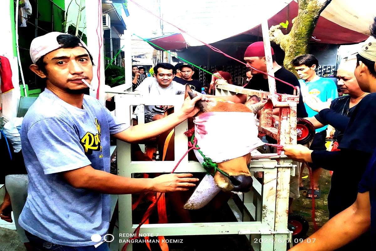 Inovasi Kandang Rubuh: Qurban Lebih Aman dan Berkah di Masjid Jami Baitul Muttaqin Tangerang