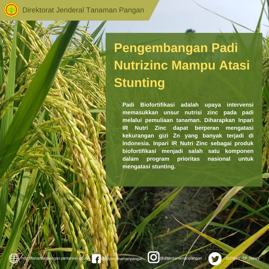 OPINI: Pemerintah GAGAL Penuhi Gizi Rakyat Indonesia? PP Nomor 72 Tahun 2021 Terkait STUNTING, Tak Capai 14 Persen pada 2024