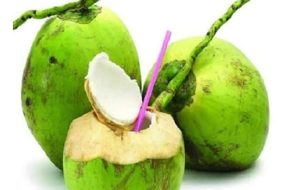 Jangan Minum Air Kelapa Sebelum Baca Artikel Ini, Dampaknya Tak Main-Main!