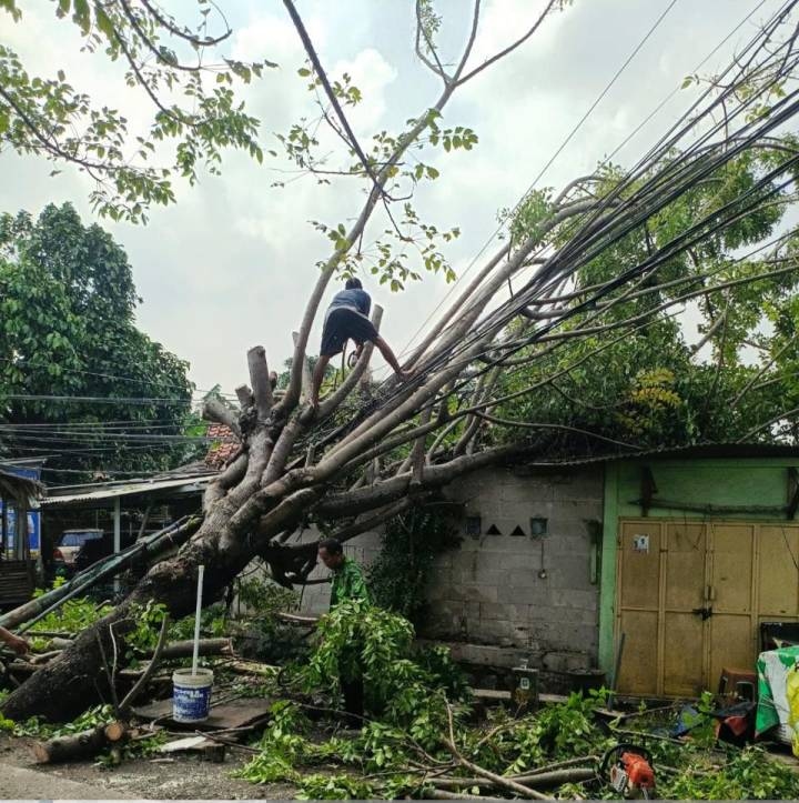 Puluhan Pohon Tumbang di Kota Tangerang, Rumah Rusak dan Kendaraan Ringsek