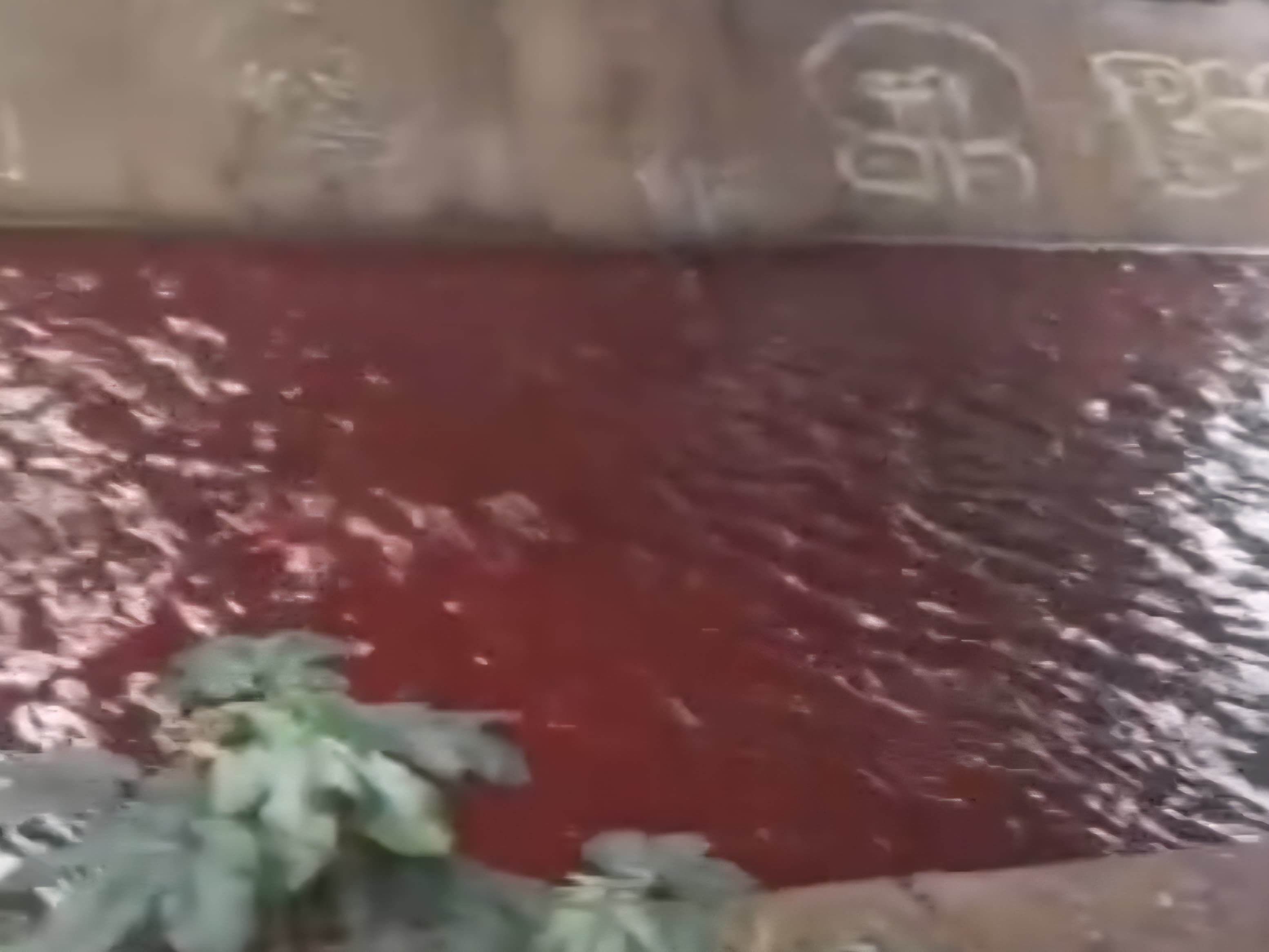 Air Kali di Serpong Berubah Merah Darah, Warga Tangsel Khawatir Pencemaran Lingkungan