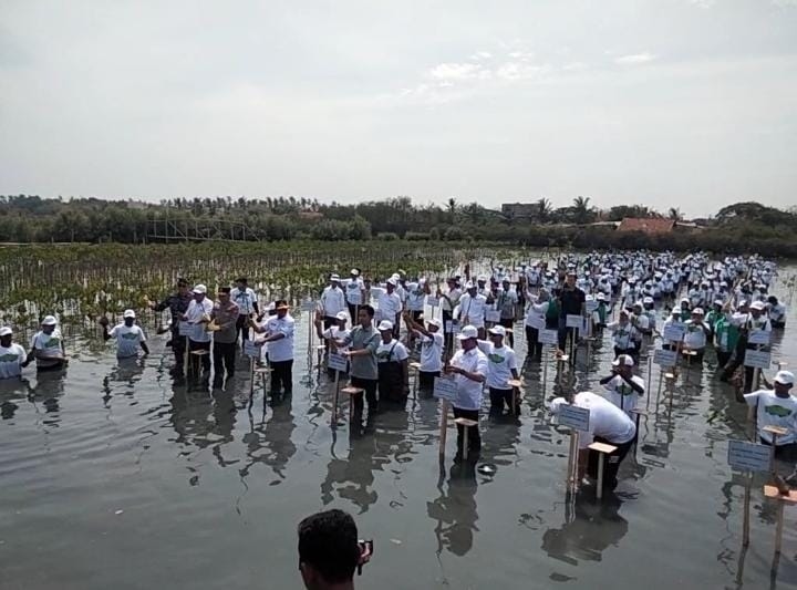 Wapres Gibran Tanam Mangrove di Pesisir Tangerang, Dorong Rehabilitasi Pesisir Secara Serius