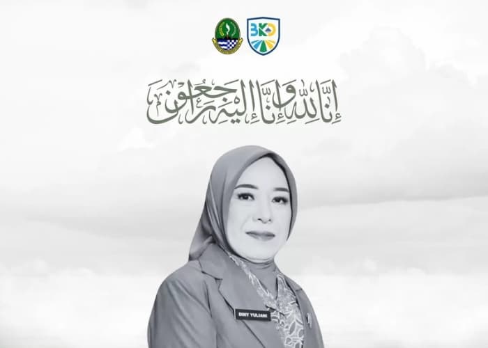 Profil Dini Yuliani Bukan Orang Sembarangan, Istri Bupati Purwakarta Meninggal Dunia Tinggalkan Banyak Kenangan Baik