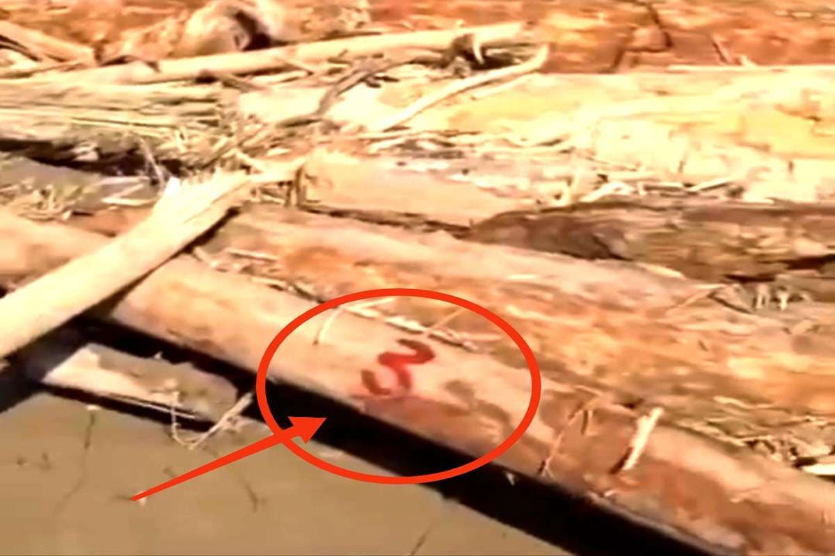 Waspada Ambil Kayu Gelondongan Sisa Banjir Bisa Masuk Penjara? Ini Penjelasannya